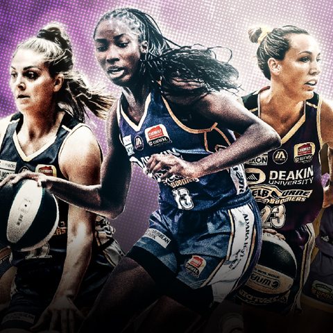 Melbourne Boomers Article Tile 480px W x 480px H