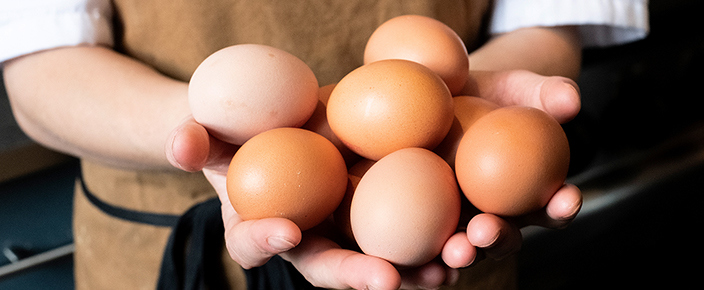 Types Of Eggs - Eggs 101
